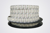 One meter 96 section 96 lamp